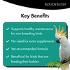 Roudybush Low Fat Food for Adult Birds & Chicks -