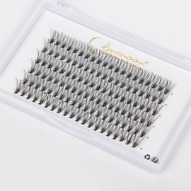 Lunamoon DIY Cluster Eyelashes, Individual Eyelashes for Eyelash Extension, DIY Individual Lashes, Clusters, Individual False Eyelashes, Cluster Lashes, DIY Eyelash Extension (20D-D-0.07, 14 mm x 6)