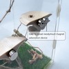 Jumping Spider Mushroom Shelf, Magnetically Concealed Jumping Spider Habitat,Serves As