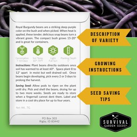 Royal Burgundy Bush Bean Seeds for Planting - Plant & Grow Stringless Purple Bush Beans in Your Home Vegetable Garden - Non-GMO Heirloom Variety - Survival Garden Seeds (1 Pack)