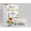 Celebration Herbals Teabags Herbal Tea Bilberry Leaf Organic, 24 Bags