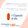 NatGel Curcumina con Pimienta Negra y Omega 3 Curcuma de