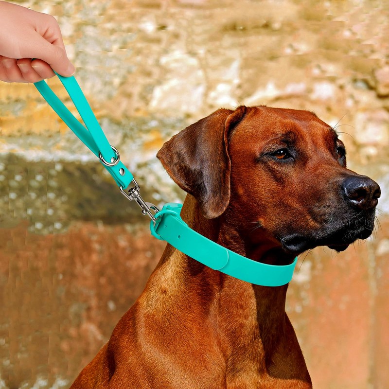 Short Dog Leash - 9 Inch Dogs Lead Grab Tab