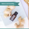 Nature's Fusions Ginger Root, 100% Pure and Natural Essential Oils,