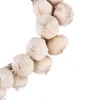 Leadigol Artificial Garlic String - Fake Vegetables Photography Props, Simulation