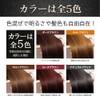 Refine Refine Head Spa Color Treatment R4 10.6 oz (300
