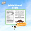 Berry Nuts Chocolate Granola Bites 12 Pack (12x 0.88 Oz)