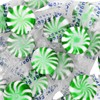 Coastal Bay Confections (1) Bag Sugar Free Starlight Mints With