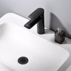 Luxier Brass Bathroom Sink Grid Drain Strainer for Vessel and