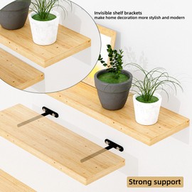 4-Inch Floating Shelf Bracket 6 Pack | Hidden Floating Shelves Brackets for Wood Shelf | Floating Shelf Hardware Heavy Duty| Blind Shelf Supports| Comes with Expansion Tube + Screw (Black)