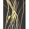 LIGHTSHARE 36Inch 16LED Natural Willow Twig Lighted Branch for Decoration