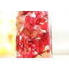 Hortus siccus Red Colors Series 紫陽花 Apples Gypsophila Herbarium