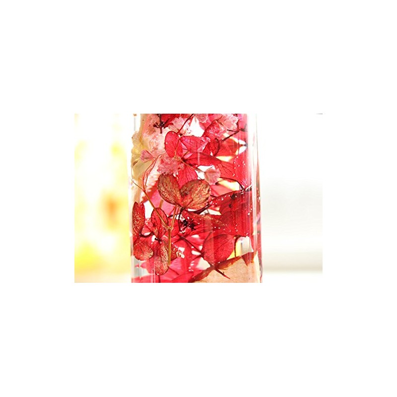 Hortus siccus Red Colors Series 紫陽花 Apples Gypsophila Herbarium