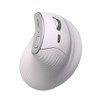 Acteck Mouse Ergonomico VIRTUOS Fitt Pro MI770 1600dpi Inalambrico 8