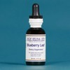 Pure Herbs: Blueberry Leaf - 1 oz.