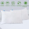 Pillow Protector 100% Viscose Made from Bamboo with Hidden Zipper,