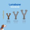Real Durable Wishbone Dog Chew Toy, Small - Dog Chew