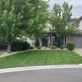 Outsidepride Showtime Perennial Lawn Grass Seed Mix - 5 lbs. Premium Blend of Creeping Red Fescue, Rye Grass & Kentucky Bluegrass Seed for Sports Fields, OptiGrowth Coated for Better Establishment