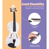 Vangoa 4/4 Violin Adult Full Size Acoustic Violin Fiddle Beginner
