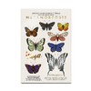 Yuya - Republic Cosmetics Set de Sombras "Metamorfosis" con 18