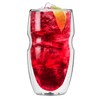 Ozeri Serafino Double Wall Insulated Beverage and Coffee Glasses, 12-Ounce,