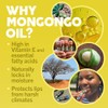 Eco Lips LIP BALM Mongo Kiss 6-Pack 100 Organic Beeswax