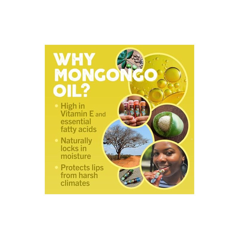 Eco Lips LIP BALM Mongo Kiss 6-Pack 100 Organic Beeswax