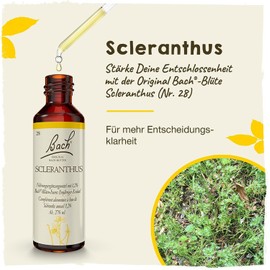 Original Bach flower drops.