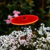 Cazador-del-sol ® - The Original Mini Cazador 1 Piece Sunflower