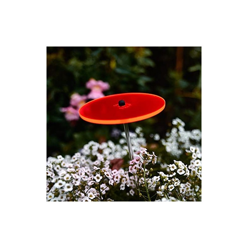 Cazador-del-sol ® - The Original Mini Cazador 1 Piece Sunflower