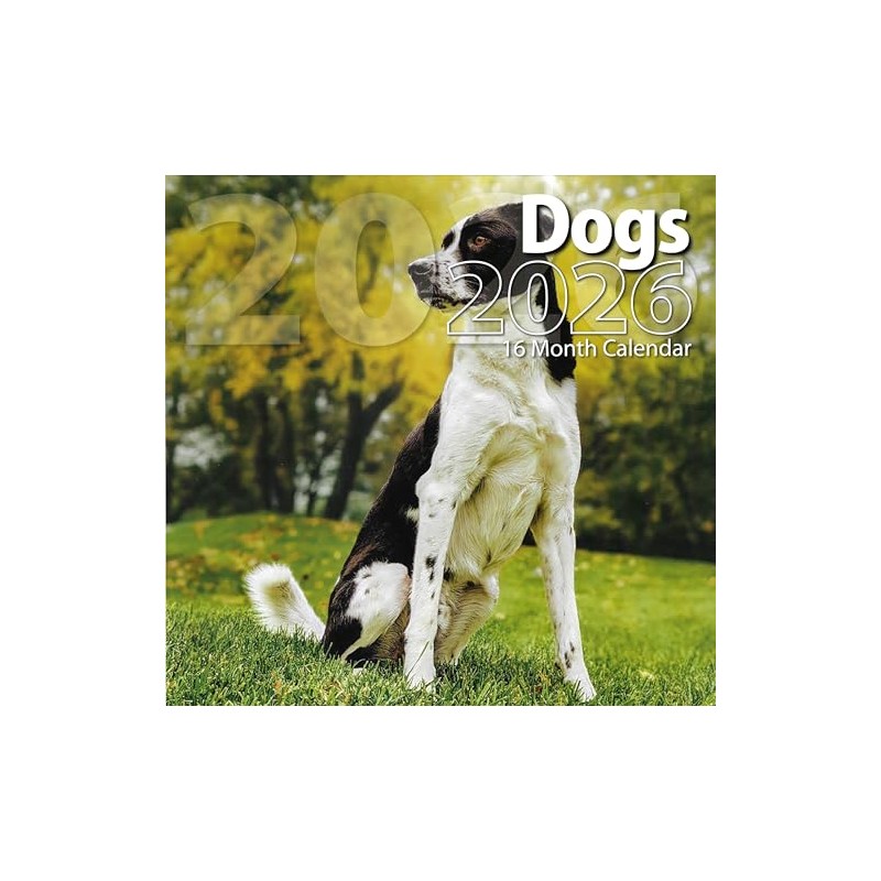 2026 Dogs Full Size Wall Calendar for Planning, Scheduling, and