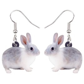 BONSNY Acrylic Cute Dangle Easter Bunny Hare Rabbit Earrings Funny Jewelry For Women Gift Accessories (Gray)