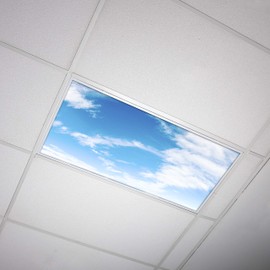 Fluorescent Light Cover for Classroom Ceiling Lights Clouds - Premium Backlit Film Insert 2x4 (22.38"x46.5") Florescent Fixture (Pack of 1) School, Office, Sensory, Improve Focus, Eliminate Headaches