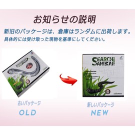 Cat Toy, Radio Control, Cat Toy, Cat Teaser, Snake, Radio-Controlled, Snake, Toy, Moving, Remote Control, RC Simulation, Scary Prank Toy, Cat Toy, Cat Supplies, Cat Toy, Fun, Cat Toy Activities, Stress Relief, Decompression, Toy, Robot Simulation, Animal