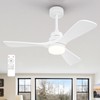 FXZZ 42 Inch Ceiling Fan with Lights, Remote Control, Dimmable,