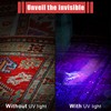 Honoson 6 Pieces UV Black Light Flashlight Small Blacklight Flashlights