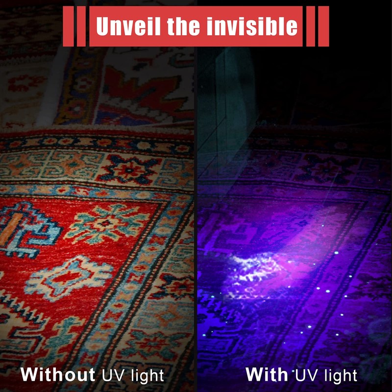 Honoson 6 Pieces UV Black Light Flashlight Small Blacklight Flashlights