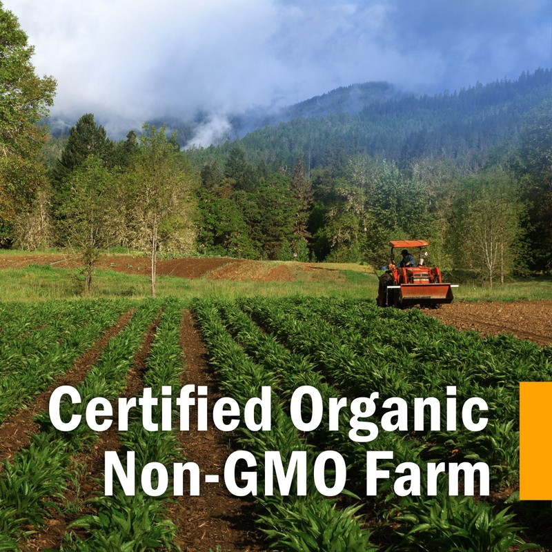 Herb Pharm Breath Refresher Certified Organic Herbal Fresh Breath Spray