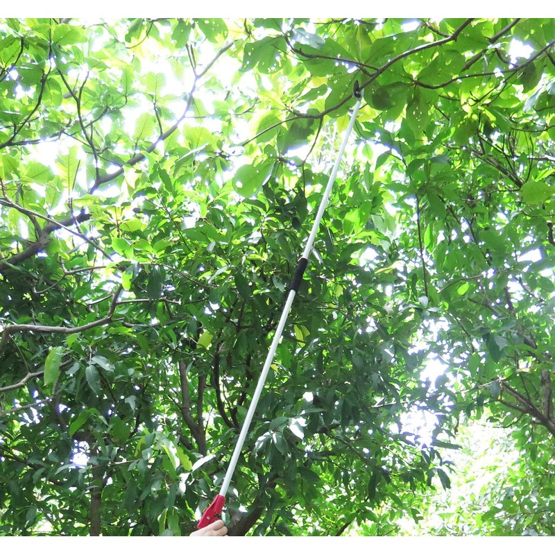 Mesoga 6 Feet Cut and Hold Tree Pruner, Rotation Pole