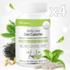 Living Factory H Partner Diet catechin total 4 months supply / 다이어트 카테킨 총 4개월분
