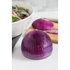 Tulz Canned-and-Jarred-Onions, 4 x 4 x 3.5 inches, Purple, (37051)