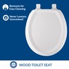 Mayfair Sculptured Traditional Toilet Seat, Easy Clean Hinges with Durable