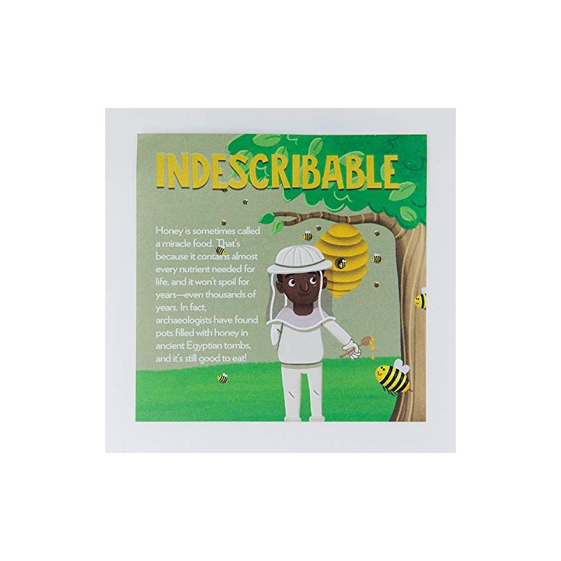 Indescribable: 100 Tear-Off Lunchbox Notes About God and Science