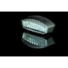 Taillight LED MONSTER, clear lens, E-marked