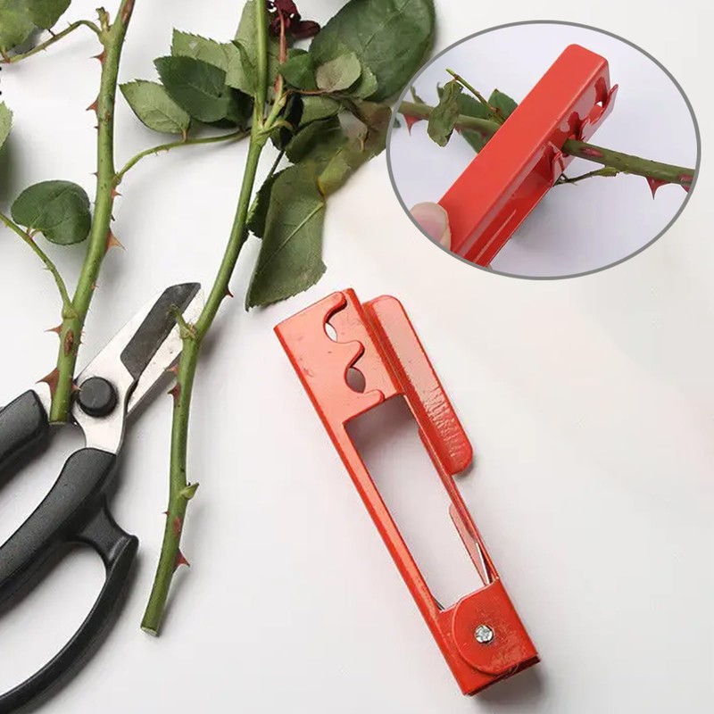 Molyorch 3 Pieces Rose Thorn Pliers, Trimming Pliers, Flower Scissors,