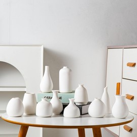 Tanvecle White Ceramic Bud Vase Set of 11, Small Vases for Pampas Grass, Flowers, Mini Vases for Modern Home Decor, Minimalist Decor, for Living Room, Dining Table & Shelves