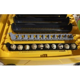 Brinsea Ovation 28 & 56  Quail Egg Carriers, Tray, Holder, Pack Of 4 Trays