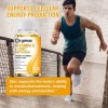 Vitamina C 1000mg Plus Zinc 20mg 120 Cápsulas Antioxidante Inmunidad,