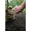 Fallen Fruits GT21 Garden Row Marker