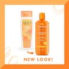 Shea Butter Sulfate free Cleansing Cream Shampoo by Cantu for